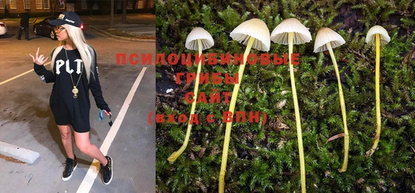 ешки Долгопрудный