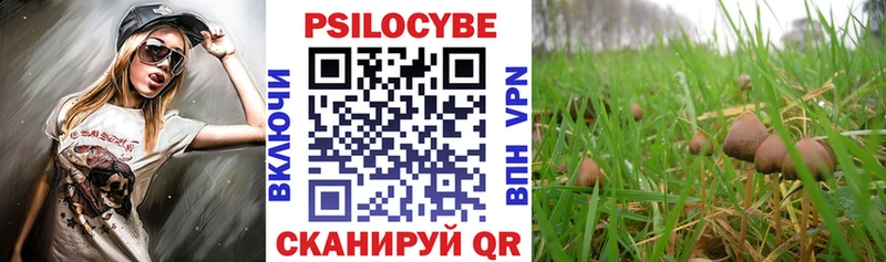 Псилоцибиновые грибы GOLDEN TEACHER  Купить  Поронайск 